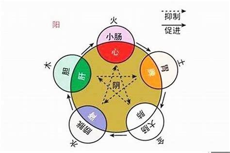 邱 五行|邱的五行属性